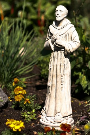 SD StFrancis-1