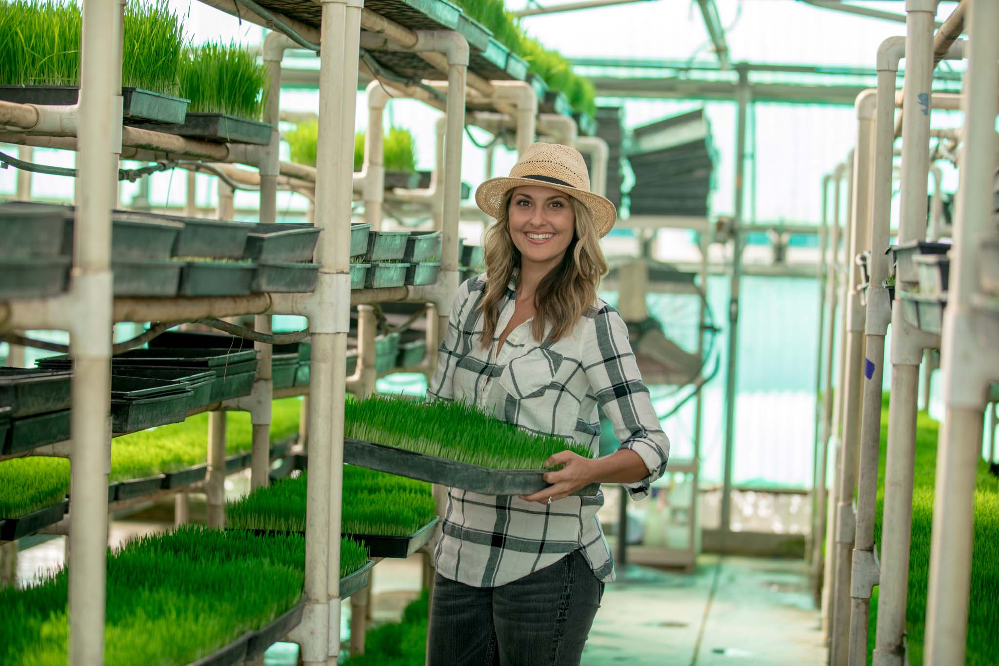 Wheatgrass is a superfood that can fuel your body as well as help heal your gut naturally - a key for holistic wellness.